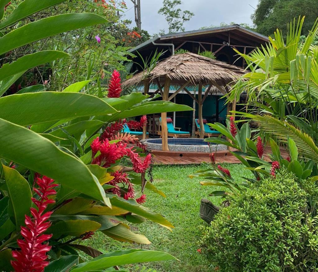 Casa Mambo Bed & Breakfast Cahuita Eksteriør bilde