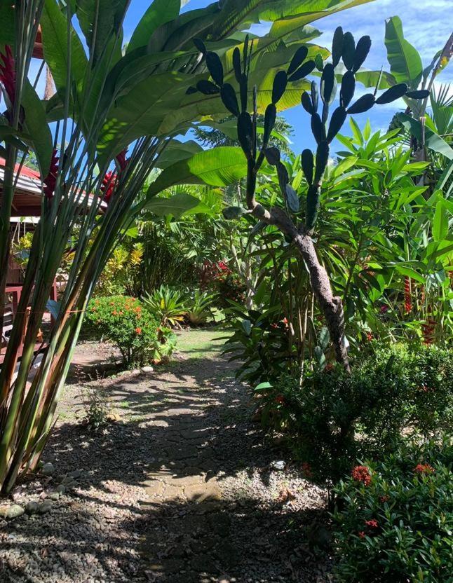 Casa Mambo Bed & Breakfast Cahuita Eksteriør bilde